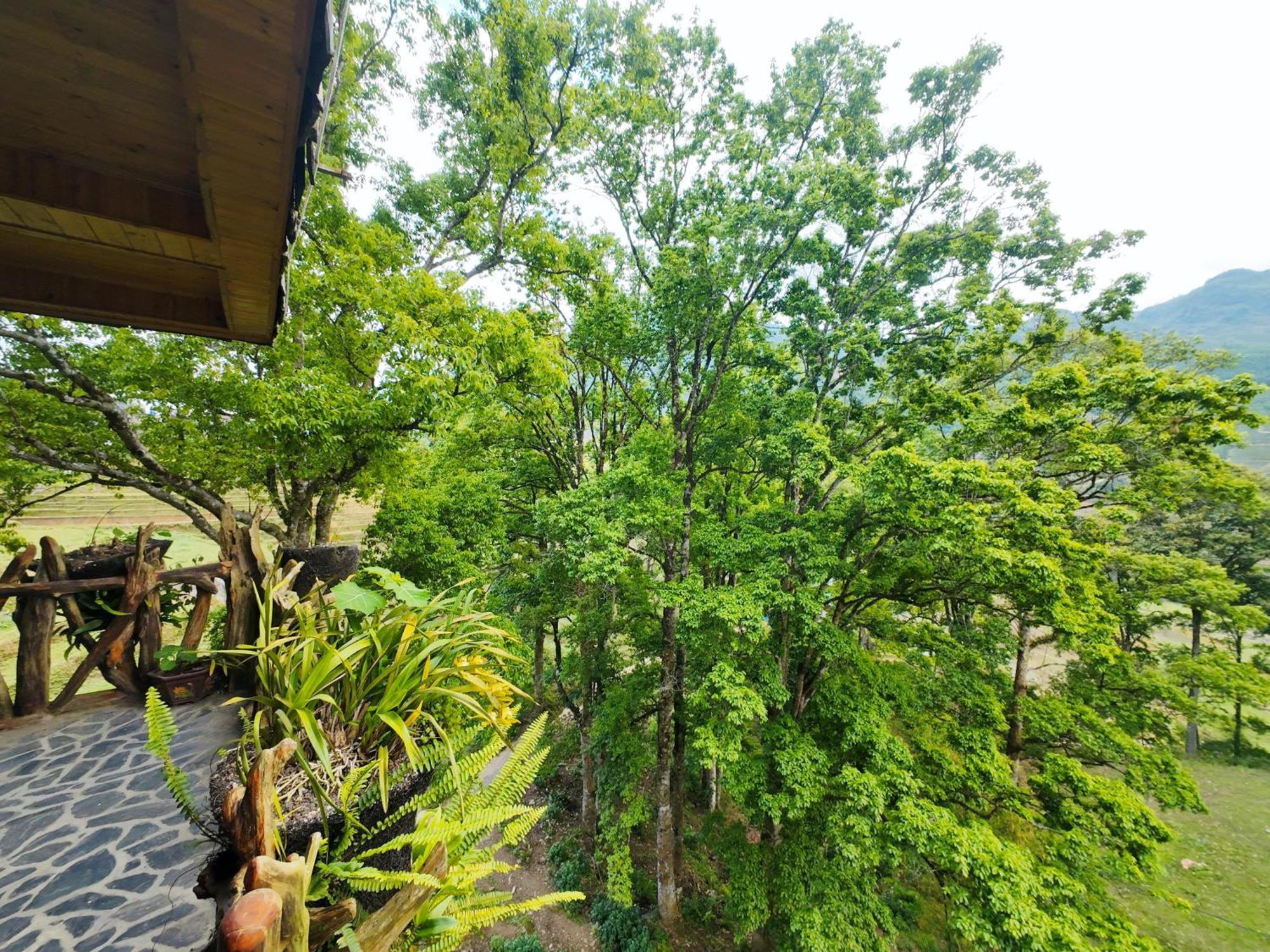 Mt House Sa Pa Hotel ภายนอก รูปภาพ